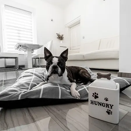 Kenti Διαμέρισμα Λιουμπλιάνα